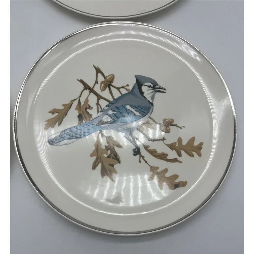 Crooksville usa songbirds